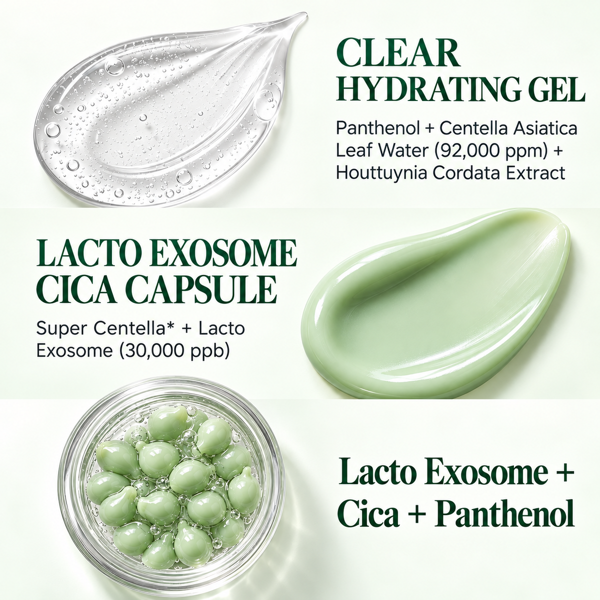 Centella asiatica leaves and heartleaf flat lay, key ingredients in a Korean cica cream for sensitive skin